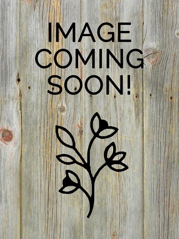 RED DOGWOOD 2.5 - 3 FT BRANCHES